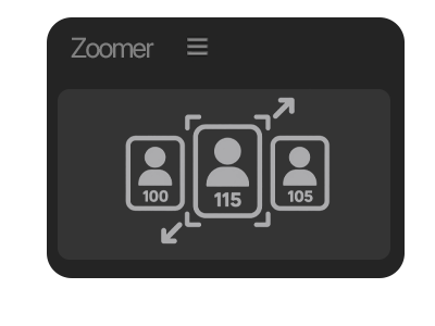 Zoomer plugin interface icon